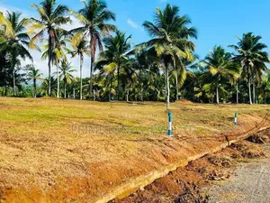 නේවාසික බිම් කොටස් අලුත්ගමින්
