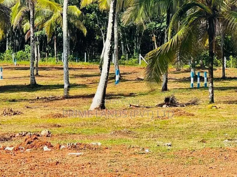 අලුත්ගම ඉඩමක්