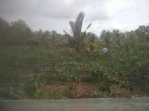 Anuradhapura Land for Sale