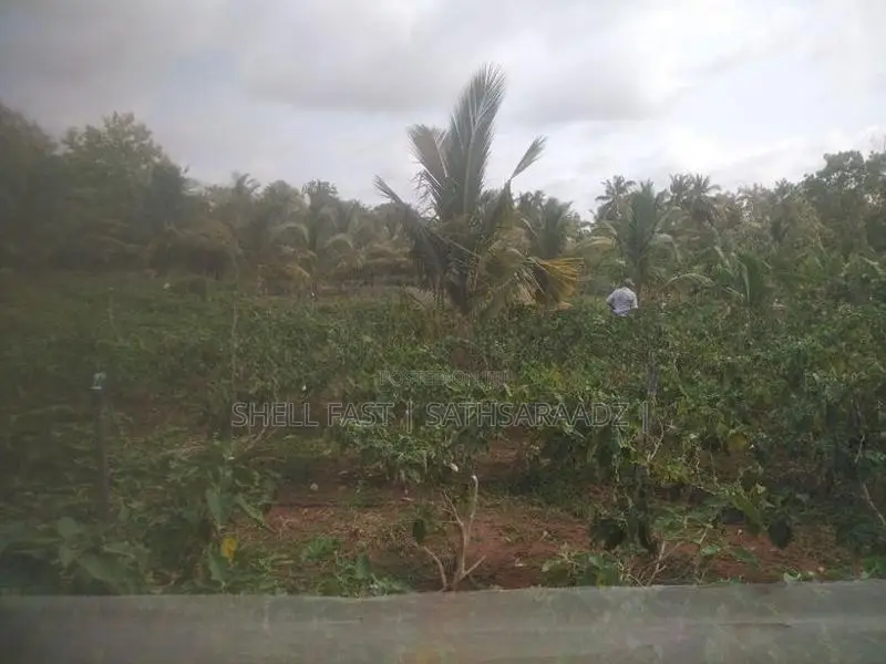 Anuradhapura Land for Sale