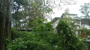 Land for Sale in Hatton