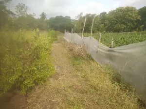 Anuradhapura Land for Sale
