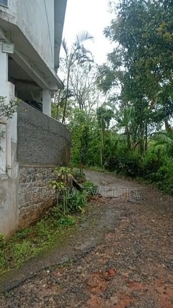 Land for Sale in Hatton
