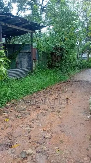 Land for Sale in Hatton
