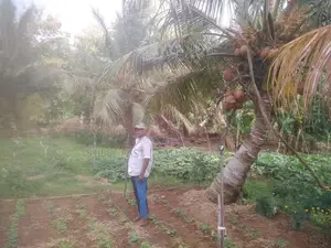 Anuradhapura Land for Sale