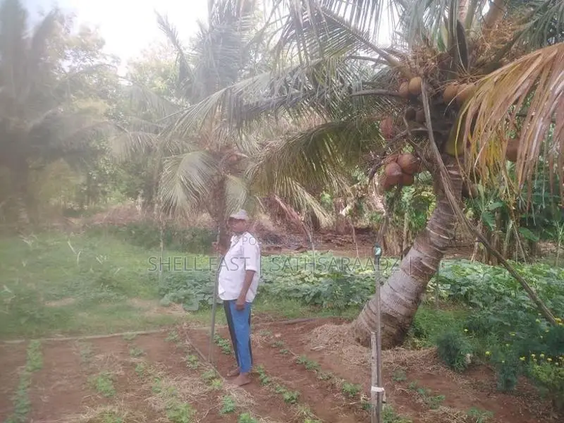 Anuradhapura Land for Sale