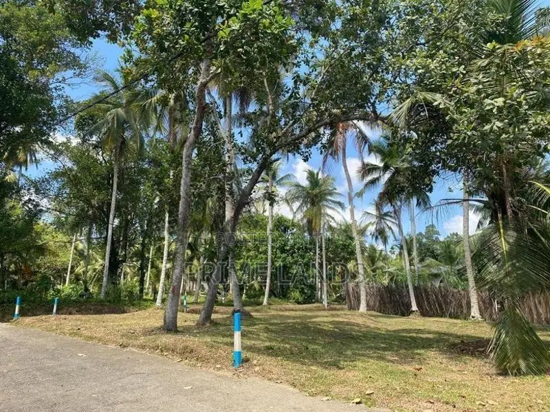 Land in Minuwangoda