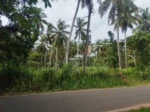 Land for Sale Kuliyapitiya
