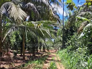 A Prime Residential Land for Sale in Naula (Arangala), Matale