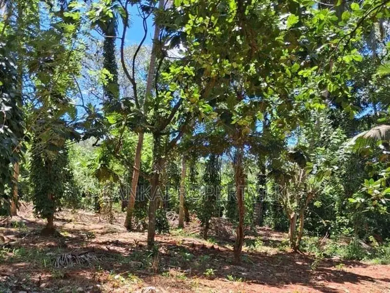 A Prime Residential Land for Sale in Naula (Arangala), Matale
