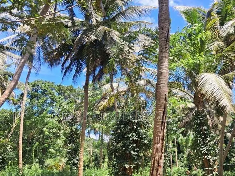 A Prime Residential Land for Sale in Naula (Arangala), Matale