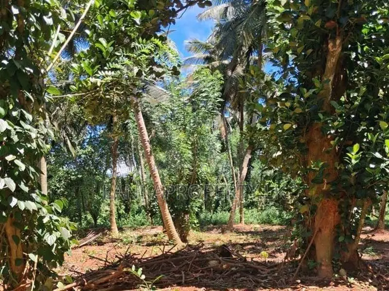 A Prime Residential Land for Sale in Naula (Arangala), Matale