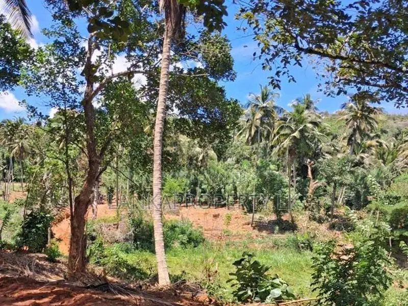 A Prime Residential Land for Sale in Naula (Arangala), Matale