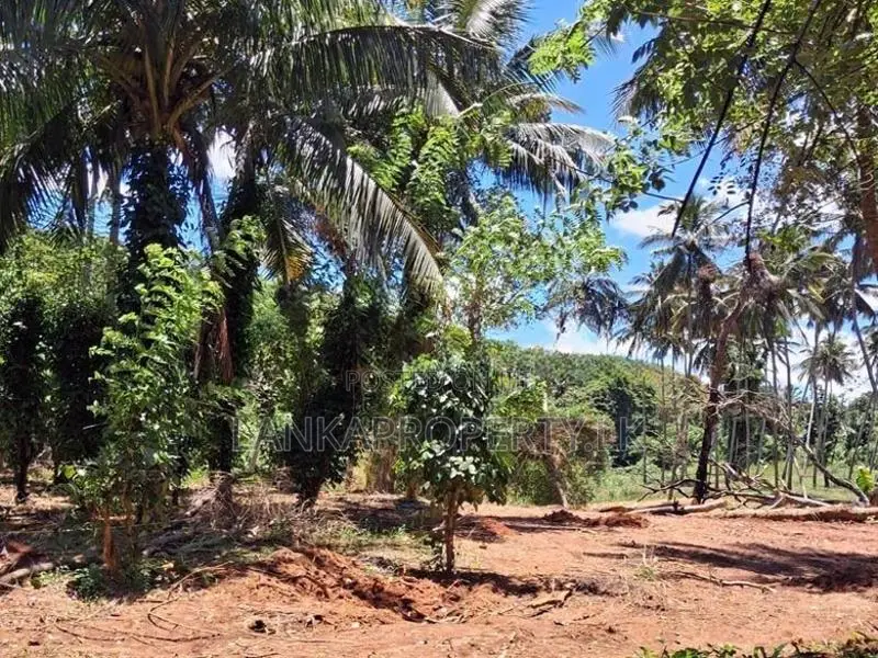 A Prime Residential Land for Sale in Naula (Arangala), Matale