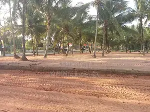 බලල්ල නේවාසික බිම් කොටස් විකිණීමට