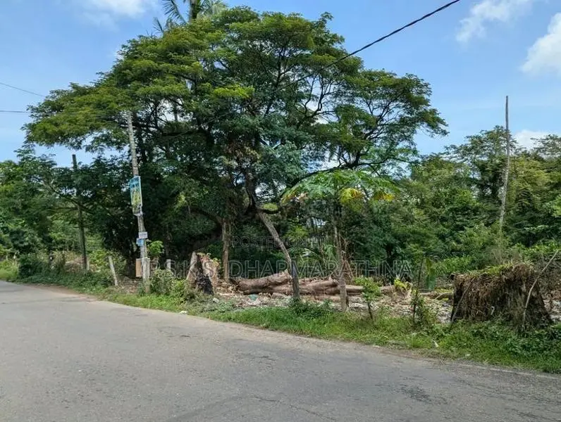 කදාන නගරයට ආසන්නයෙන් පර්චස් 103 ක අගනා ඉඩමක්