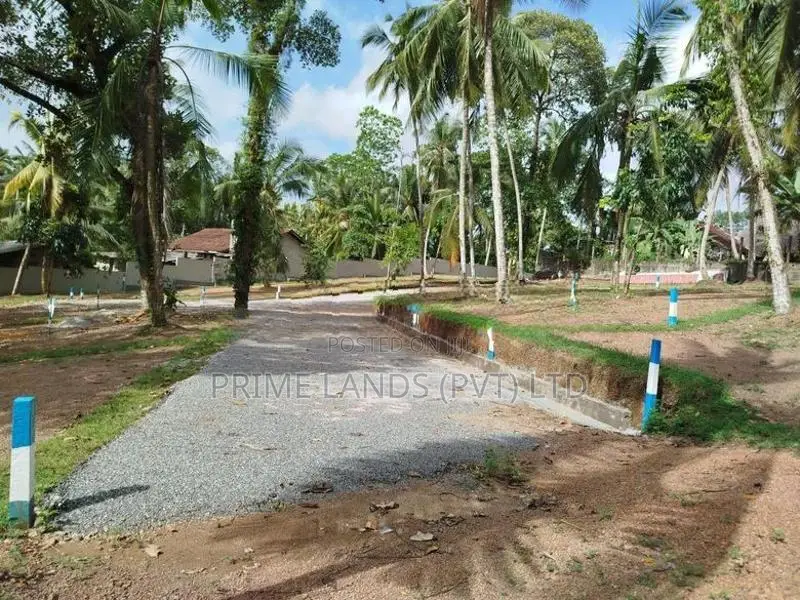 හෝමාගම බිම් කොටස් විකිණීමට