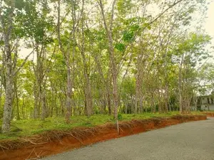Lands for Sale in Ahangama