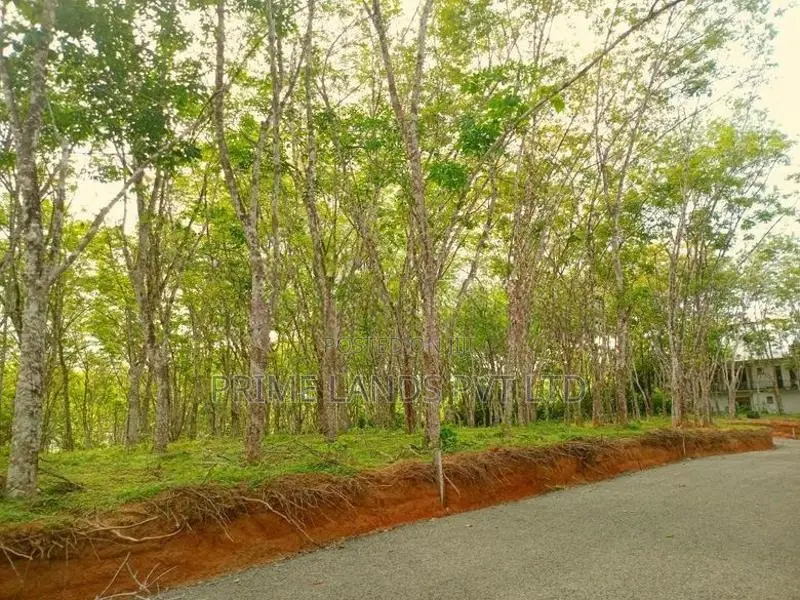 Lands for Sale in Ahangama