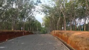 අහංගම සංචාරක කලාපයට ආසන්නව Land