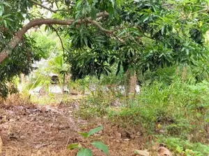 උඩවලව වටිනා තේක්ක සහිත පර්චස් 450ක ඉඩමක් විකිනීමට