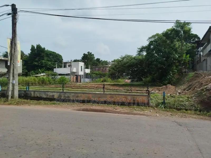 පිලියන්දල මඩපාත බිම් කොටසක් විකිණීමට