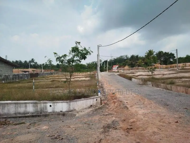 ආටිගල බටවල පාරෙන් බිම් කොටස් විකිණීමට