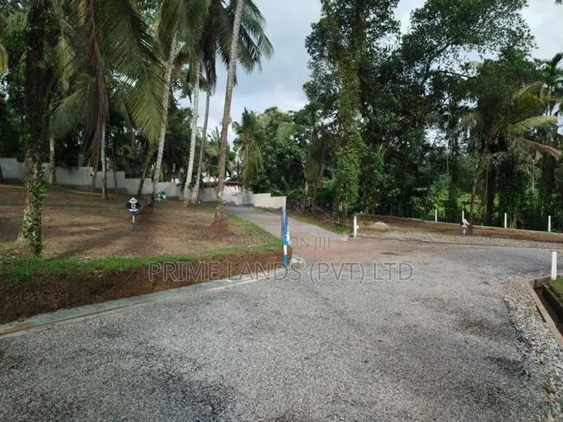 හෝමාගම බිම් කොටස් විකිණීමට