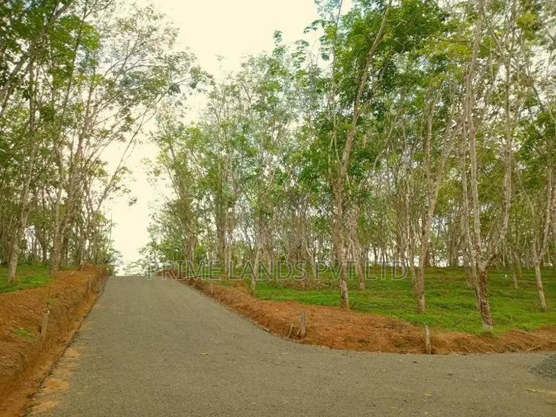 Lands for Sale in Ahangama
