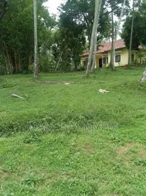 Horana Hadapangoda Land for Sale