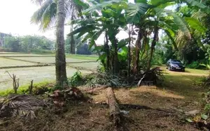 (STL-632) Valuable Bare Land with Paddy View in Horana Padukka