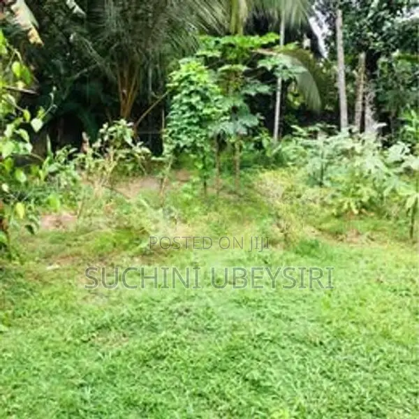 Land for Sale in Kiriwaththuduwa