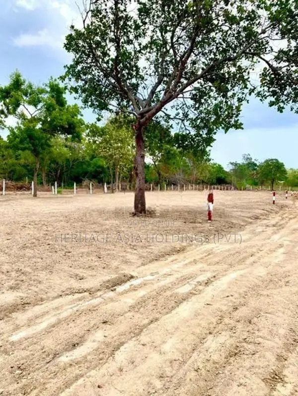 Land for Sale Anuradhapura