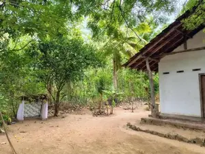 උඩවලව වටිනා තේක්ක සහිත පර්චස් 450ක ඉඩමක් විකිනීමට