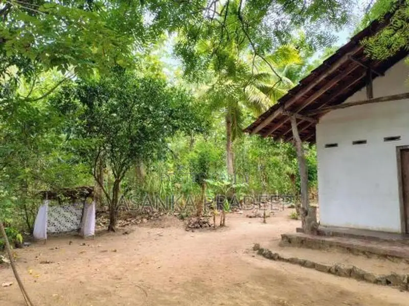 උඩවලව වටිනා තේක්ක සහිත පර්චස් 450ක ඉඩමක් විකිනීමට
