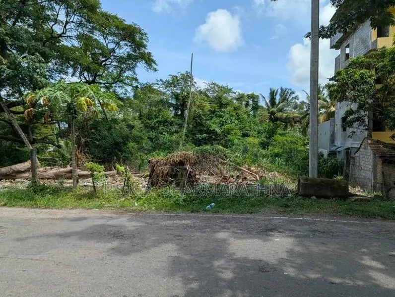 කදාන නගරයට ආසන්නයෙන් පර්චස් 103 ක අගනා ඉඩමක්