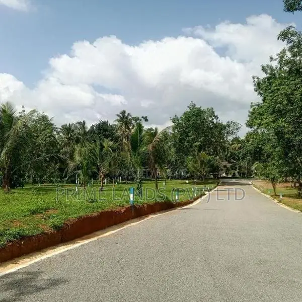 Land for Sale Divulapitiya