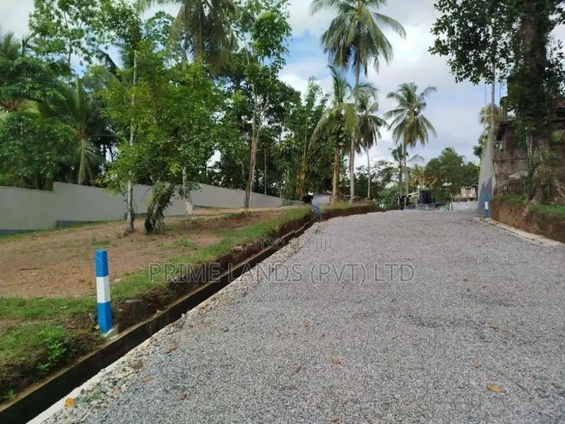 හෝමාගම බිම් කොටස් විකිණීමට