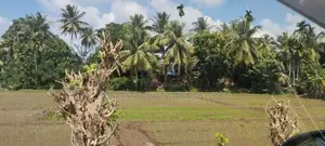(STL-632) Valuable Bare Land with Paddy View in Horana Padukka
