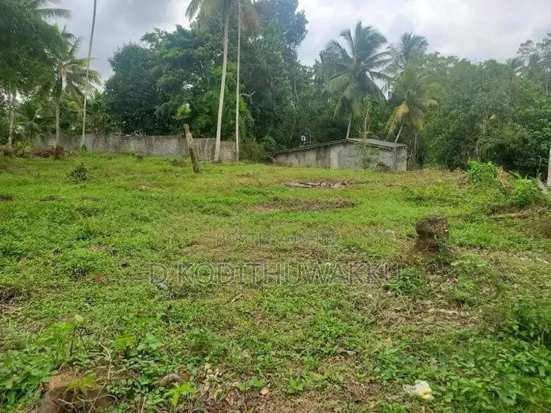 79 Perches Land for Sale Kumbuka Junction, Horana