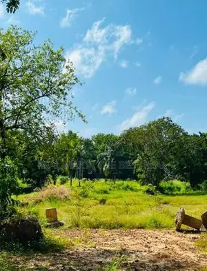 Wennappuwa 5 Acres Prime Land for Sale