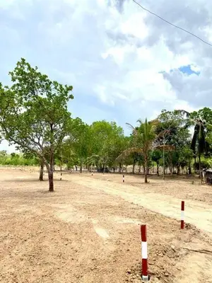 Land for Sale Anuradhapura