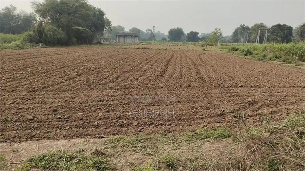 Land for Sale Jaffna
