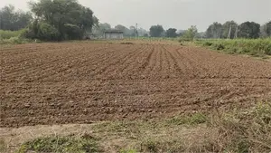 Land for Sale Jaffna