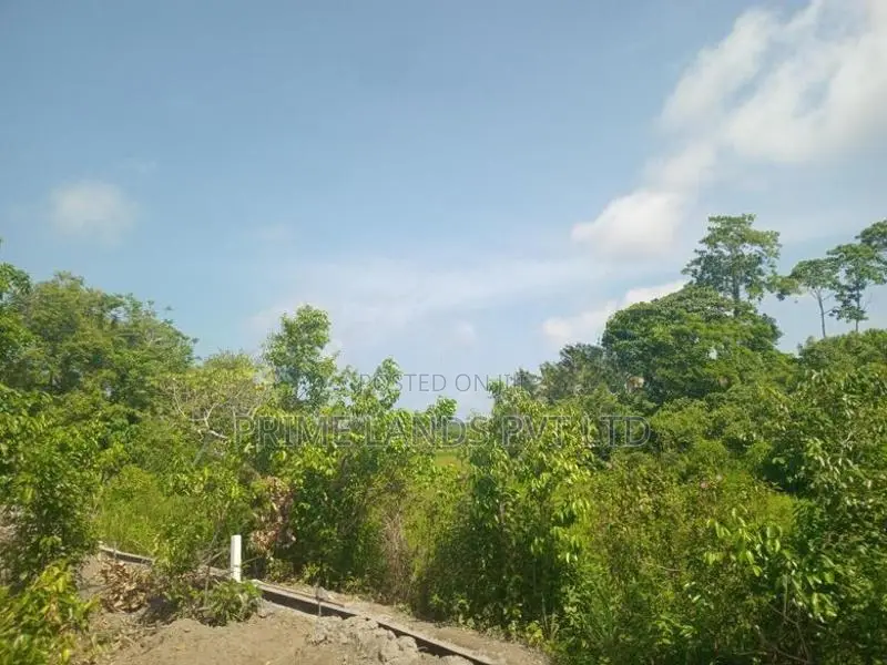 Lands for Sale in Ambalangoda
