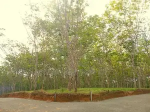 Lands for Sale in Ahangama