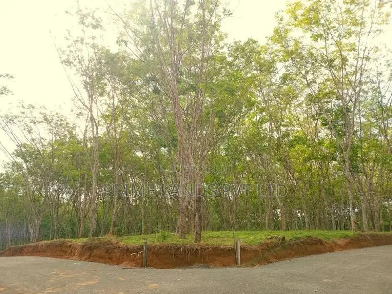 Lands for Sale in Ahangama