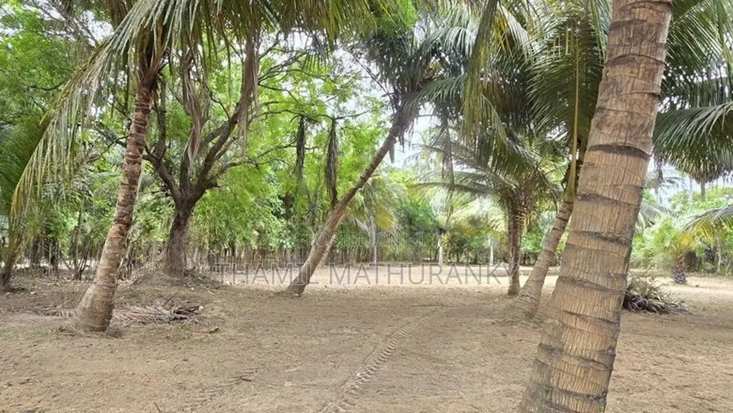 Agriculture Land Puthukkudiyiruppu