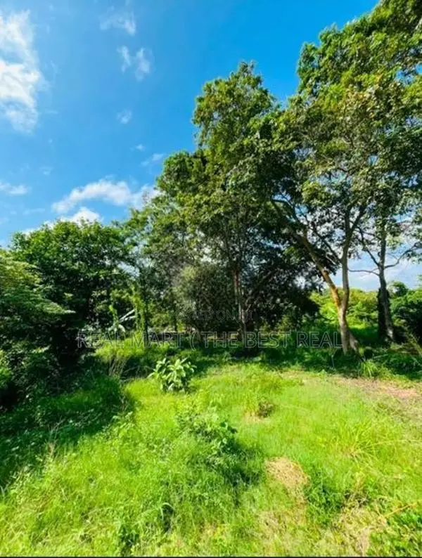 Wennappuwa 5 Acres Prime Land for Sale