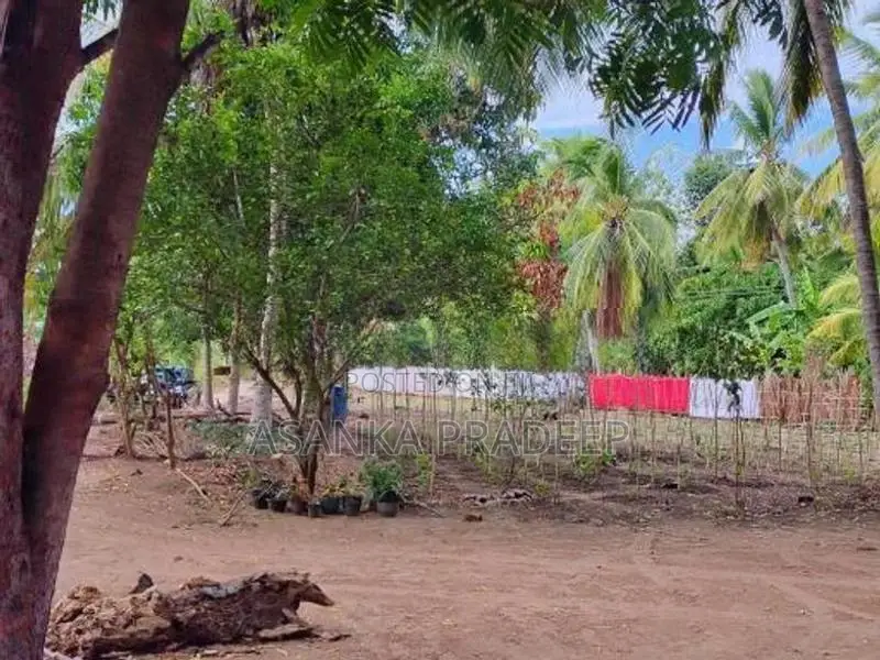 උඩවලව වටිනා තේක්ක සහිත පර්චස් 450ක ඉඩමක් විකිනීමට